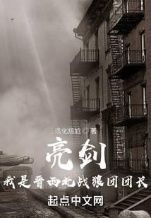 ���������ǽ�����ս�����ų�