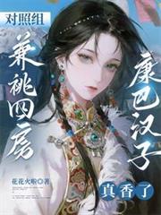 ����������ķ������ͺ���������