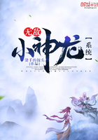 �޵�С����ϵͳ